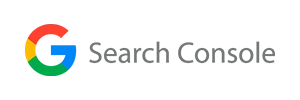 Google-Search-Console-300